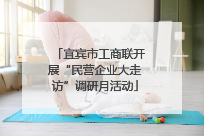 宜宾市工商联开展“民营企业大走访”调研月活动