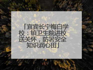 宜宾长宁梅白学校：镇卫生院进校送关怀，防暑安全知识润心田