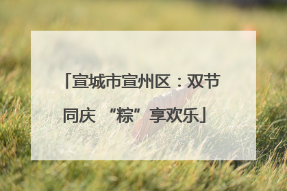 宣城市宣州区：双节同庆 “粽”享欢乐