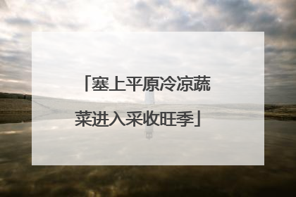 塞上平原冷凉蔬菜进入采收旺季