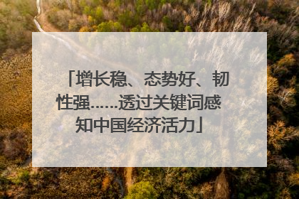 增长稳、态势好、韧性强……透过关键词感知中国经济活力