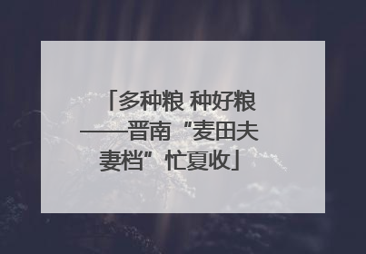 多种粮 种好粮——晋南“麦田夫妻档”忙夏收