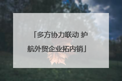 多方协力联动 护航外贸企业拓内销