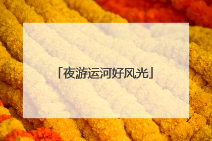 夜游运河好风光