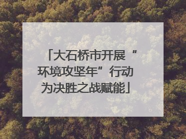大石桥市开展“环境攻坚年”行动为决胜之战赋能