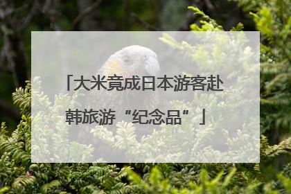 大米竟成日本游客赴韩旅游“纪念品”