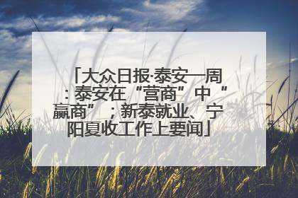 大众日报·泰安一周：泰安在“营商”中“赢商”；新泰就业、宁阳夏收工作上要闻