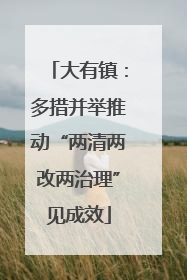 大有镇：多措并举推动“两清两改两治理”见成效