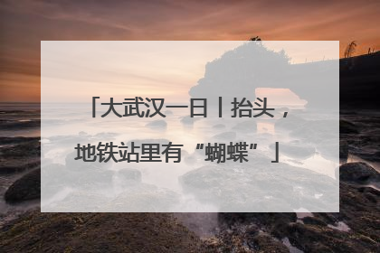 大武汉一日丨抬头，地铁站里有“蝴蝶”