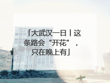 大武汉一日丨这条路会“开花”，只在晚上有