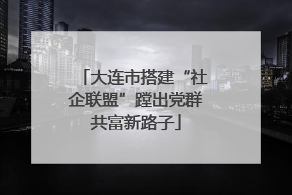 大连市搭建“社企联盟”蹚出党群共富新路子