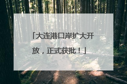 大连港口岸扩大开放，正式获批！