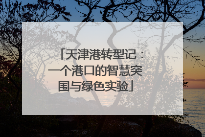 天津港转型记：一个港口的智慧突围与绿色实验