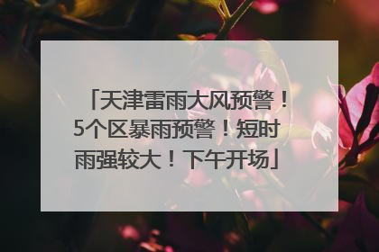 天津雷雨大风预警！5个区暴雨预警！短时雨强较大！下午开场