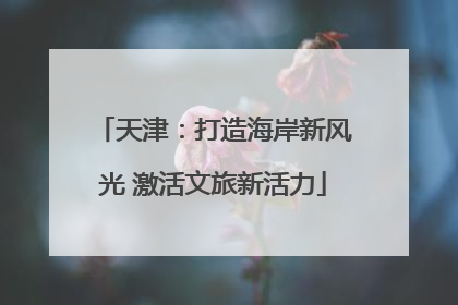 天津：打造海岸新风光 激活文旅新活力