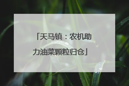 天马镇：农机助力油菜颗粒归仓