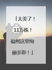 太美了！11万株！福州这里绚丽多彩！