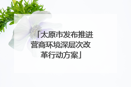 太原市发布推进营商环境深层次改革行动方案