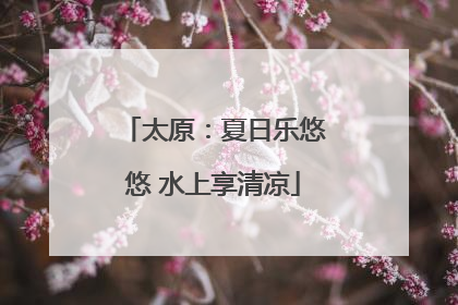 太原：夏日乐悠悠 水上享清凉