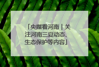 央媒看河南｜关注河南三夏动态、生态保护等内容
