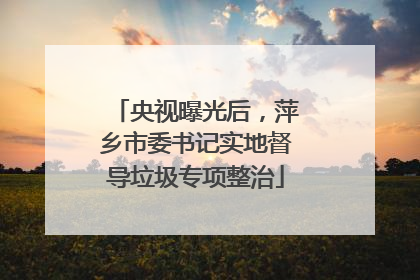 央视曝光后，萍乡市委书记实地督导垃圾专项整治
