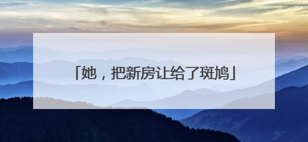 她，把新房让给了斑鸠