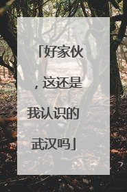 好家伙，这还是我认识的武汉吗