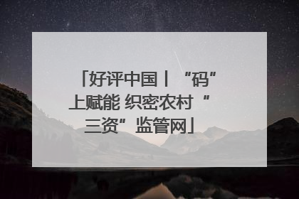 好评中国丨“码”上赋能 织密农村“三资”监管网