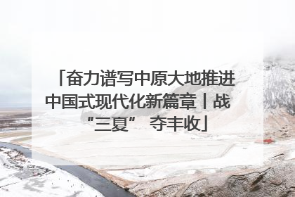 奋力谱写中原大地推进中国式现代化新篇章丨战“三夏” 夺丰收