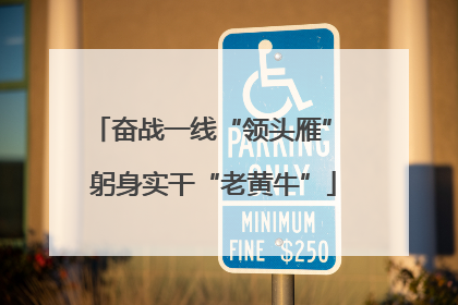 奋战一线“领头雁” 躬身实干“老黄牛”