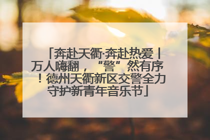 奔赴天衢·奔赴热爱丨万人嗨翻，“警”然有序！德州天衢新区交警全力守护新青年音乐节