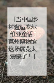 当中国乡村邂逅塞尔维亚童话 莒州博物馆这场展览太震撼了！