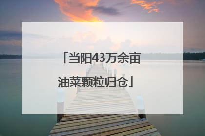 当阳43万余亩油菜颗粒归仓