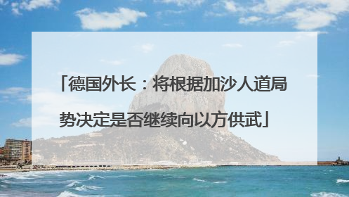 德国外长：将根据加沙人道局势决定是否继续向以方供武