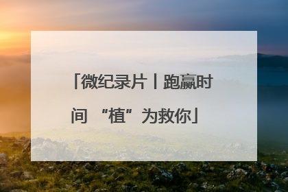 微纪录片丨跑赢时间 “植”为救你