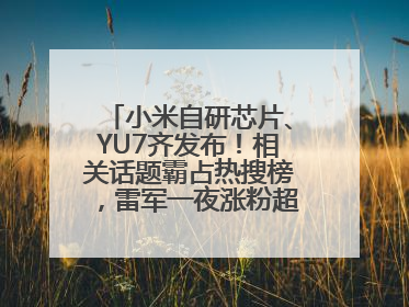 小米自研芯片、YU7齐发布！相关话题霸占热搜榜，雷军一夜涨粉超20万
