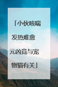 小伙咳喘发热难愈 元凶竟与宠物猫有关