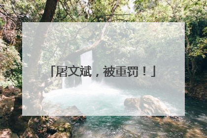 屠文斌，被重罚！