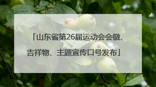 山东省第26届运动会会徽、吉祥物、主题宣传口号发布