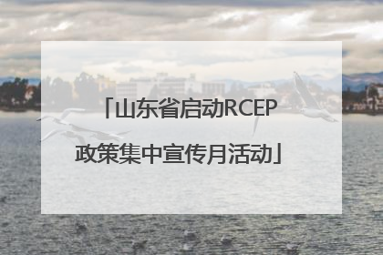 山东省启动RCEP政策集中宣传月活动