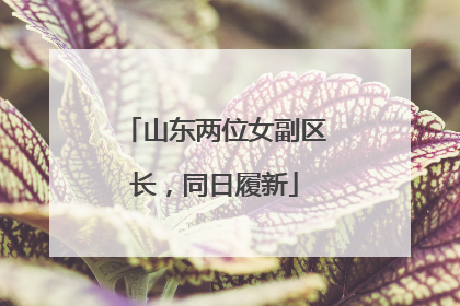 山东两位女副区长，同日履新