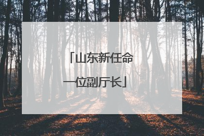 山东新任命一位副厅长