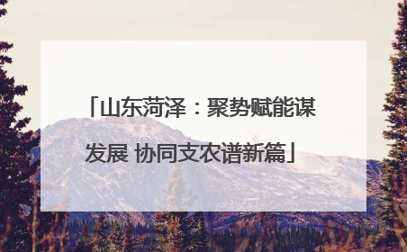 山东菏泽：聚势赋能谋发展 协同支农谱新篇