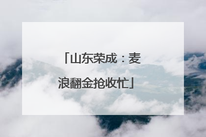 山东荣成：麦浪翻金抢收忙