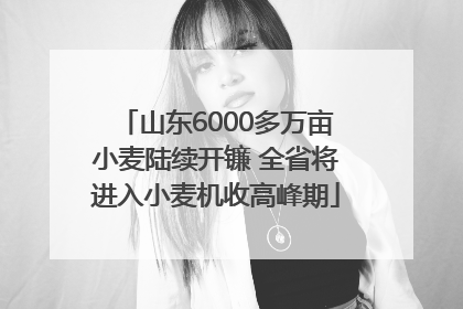 山东6000多万亩小麦陆续开镰 全省将进入小麦机收高峰期