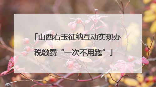 山西右玉征纳互动实现办税缴费“一次不用跑”