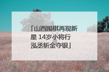 山西围棋再现新星 14岁小将行泓丞斩金夺银