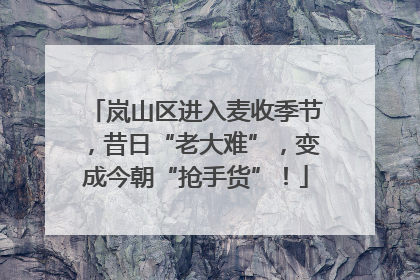 岚山区进入麦收季节，昔日“老大难”，变成今朝“抢手货”！