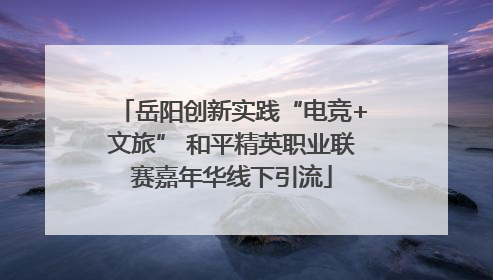 岳阳创新实践“电竞+文旅” 和平精英职业联赛嘉年华线下引流