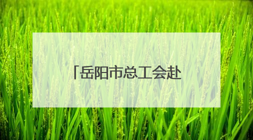 岳阳市总工会赴新港区开展深化产业工人队伍建设改革工作调研